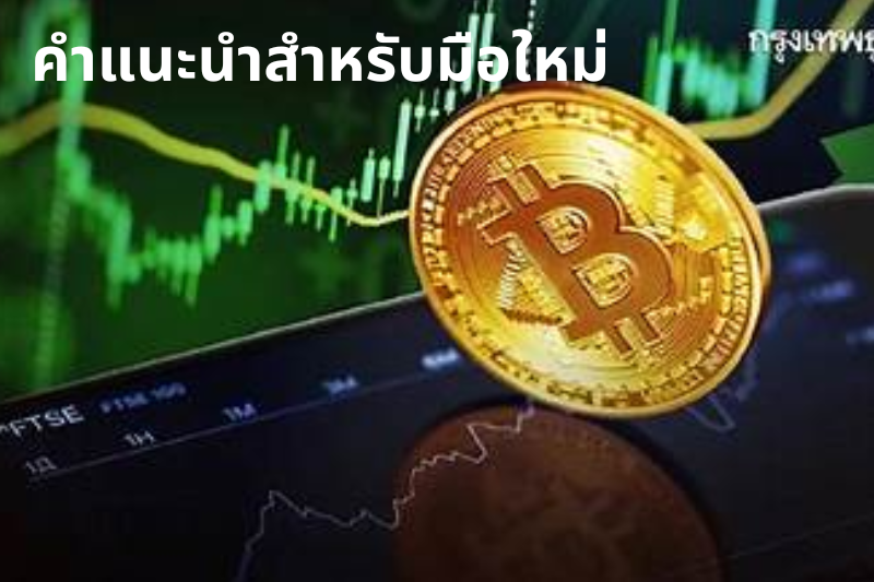 คำแนะนำสำหรับมือใหม่