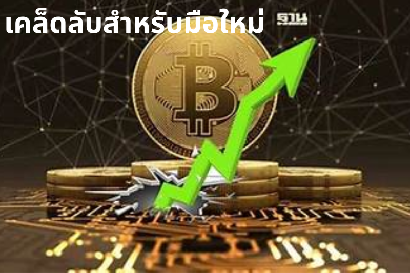 เคล็ดลับสำหรับมือใหม่