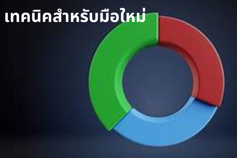 เทคนิคสำหรับมือใหม่